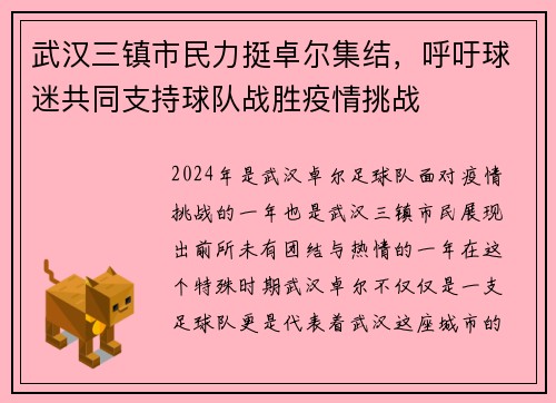 武汉三镇市民力挺卓尔集结，呼吁球迷共同支持球队战胜疫情挑战